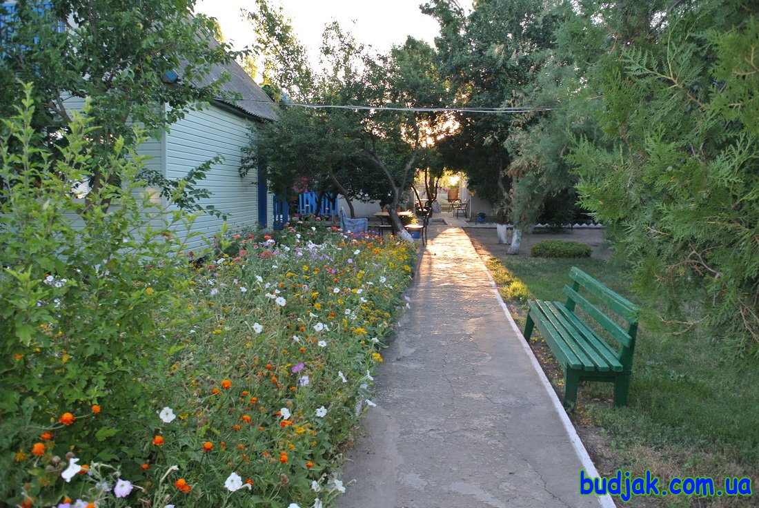 База отдыха Плай - территория. Курорт Рассейка. Фото N 7711. 2016 год